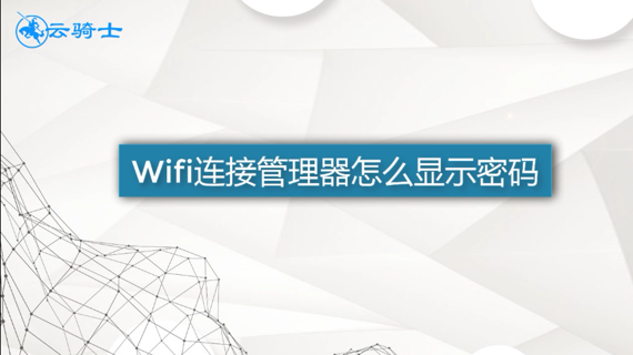 wifi连接管理器怎么显示密码