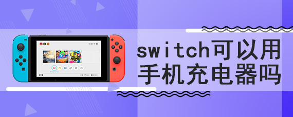 switch可以用手机充电器吗