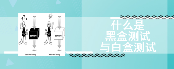 什么是黑盒测试与白盒测试