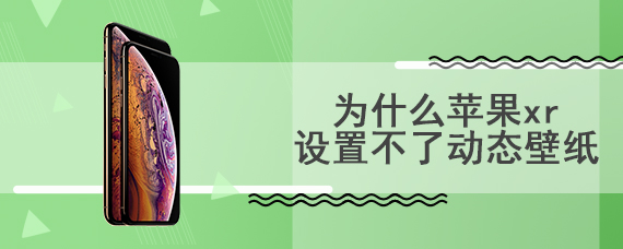 为什么苹果xr设置不了动态壁纸