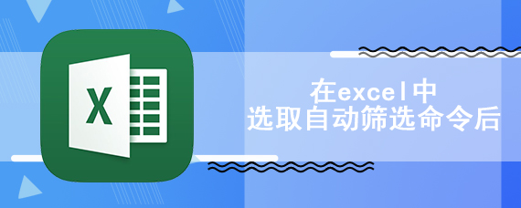 在excel中选取自动筛选命令后