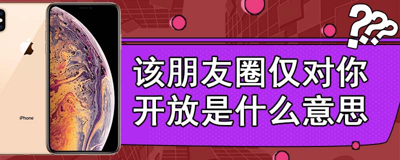 该朋友圈仅对你开放是什么意思