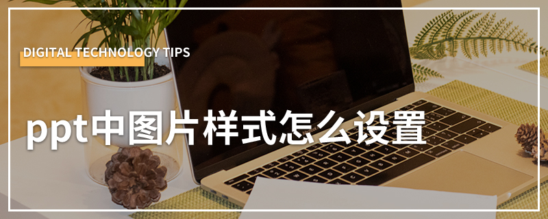 ppt中图片样式怎么设置
