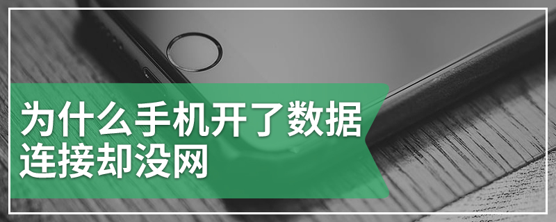 为什么手机开了数据连接却没网