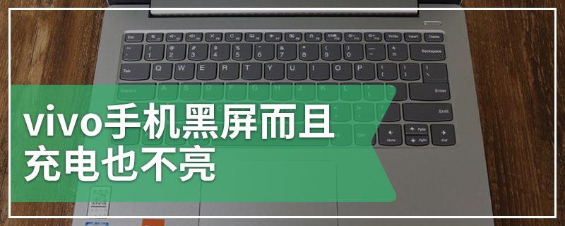 vivo手机黑屏而且充电也不亮