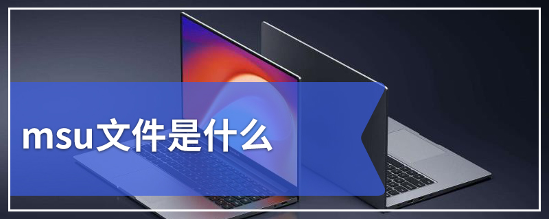 msu文件是什么