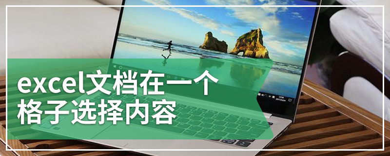 excel 文档在一个格子选择内容