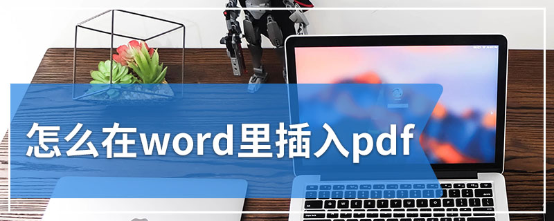 怎么在word里插入pdf