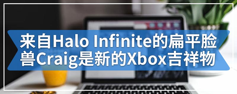 来自Halo Infinite的扁平脸兽Craig是新的Xbox吉祥物