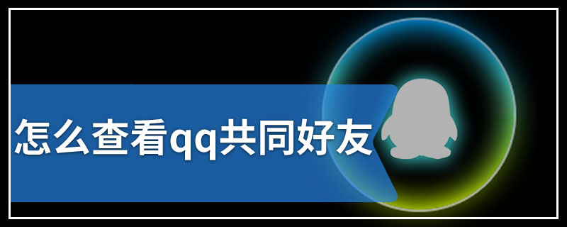 怎么查看qq共同好友