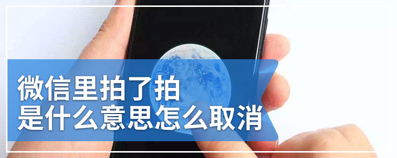 微信里拍了拍是什么意思怎么取消