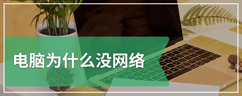 电脑为什么没网络