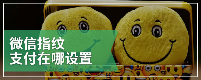 微信指纹支付在哪设置