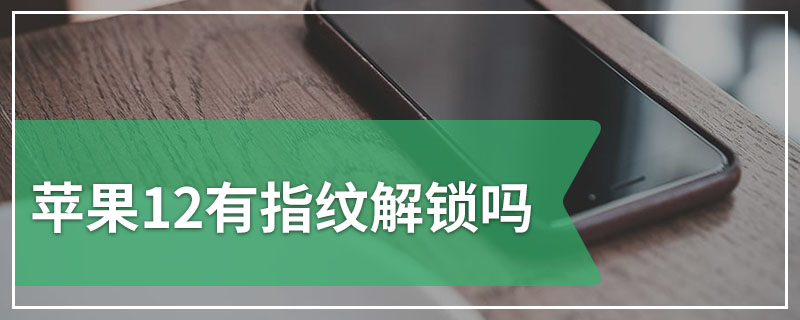 苹果12有指纹解锁吗