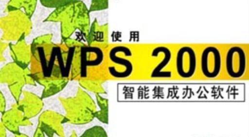 WPS2000文档编辑技巧大揭秘：如何高效利用WPS2000进行办公？