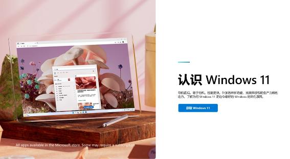 Win11系统C盘300G有必要吗？深入分析C盘空间对系统性能的影响