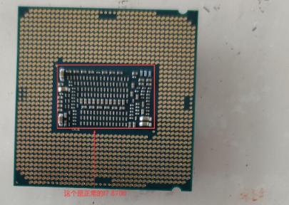 怎么辨别散片是不是正品？教你识别真假散片的技巧与方法！