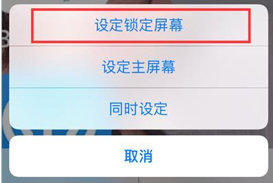 iphonexr还能设置动态壁纸吗(7)