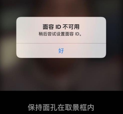 苹果x面容设置不上去