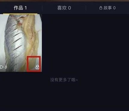 抖音设置隐私别人看得到吗(3)