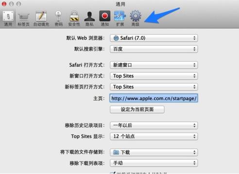 safari里高级设置(1)