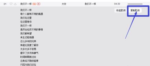 网易云音乐歌词如何导出(4)