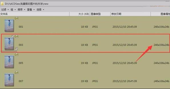 acdsee怎么批量裁剪图片大小(12)