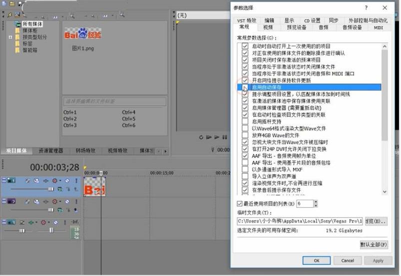 vegas自动保存在哪里设置(2)