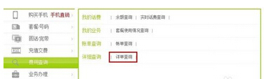 中国电信怎么查询详细账单(2)