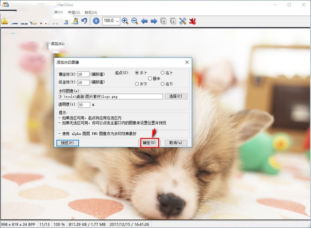 irfanview怎么给图片加水印(9)