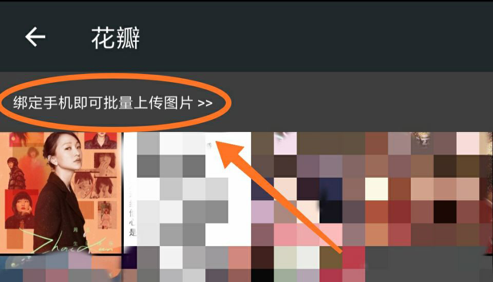 花瓣app怎么上传本地图片(4)