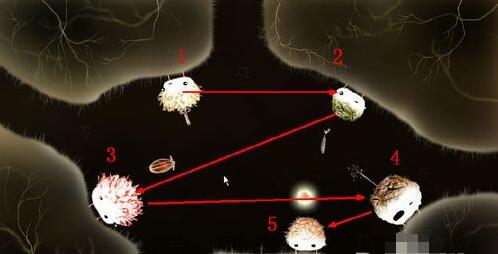 植物精灵第五关怎么过(5)