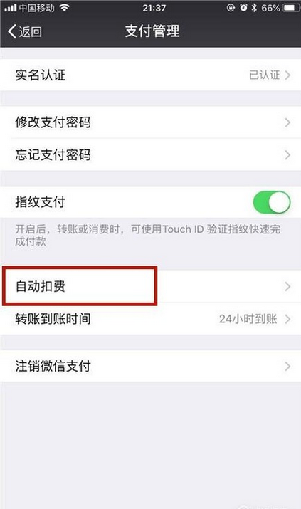 如何查看微信自动续费项目(3)