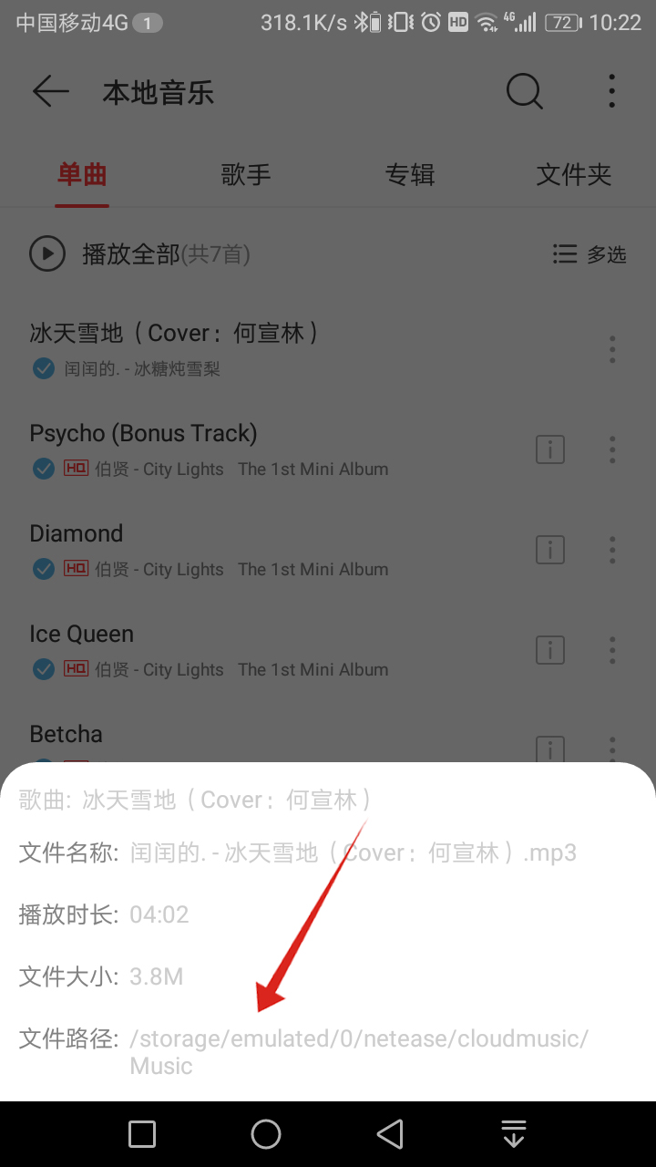 手机网易云音乐下载的歌曲在哪里(4)