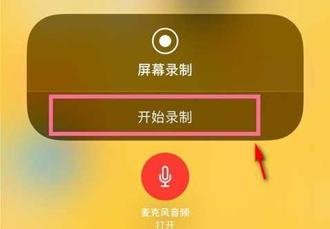 苹果11手机怎么录屏教程(4)