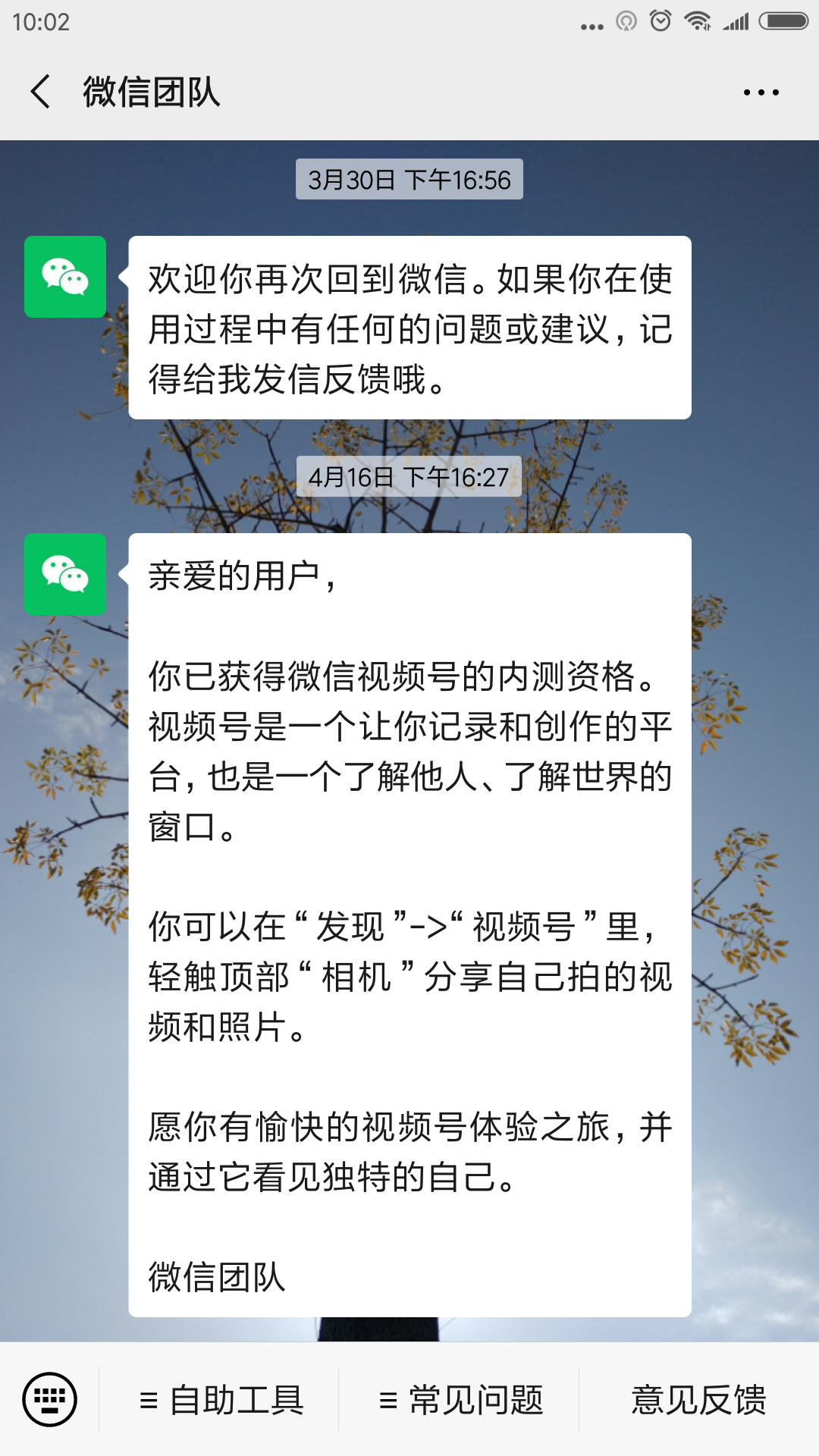 如何开通微信视频号