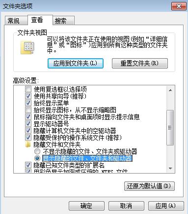 U盘显示存储量却看不到文件怎么办