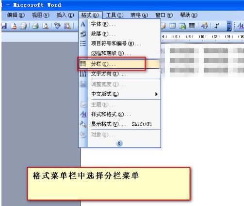 word文档怎么把好几页一起分栏(1)