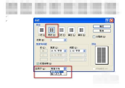 word文档怎么把好几页一起分栏(2)