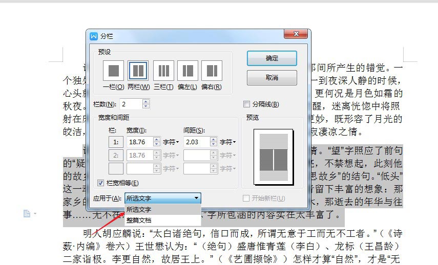 wps2019怎么分栏(4)