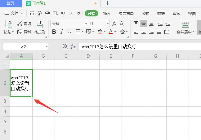 wps2019怎么设置自动换行(5)