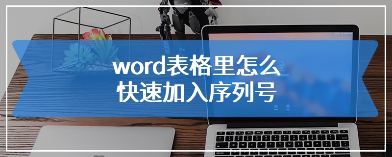 word表格里怎么快速加入序列号