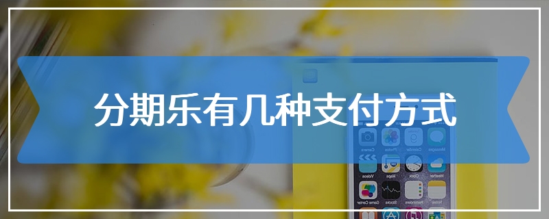 分期乐有几种支付方式