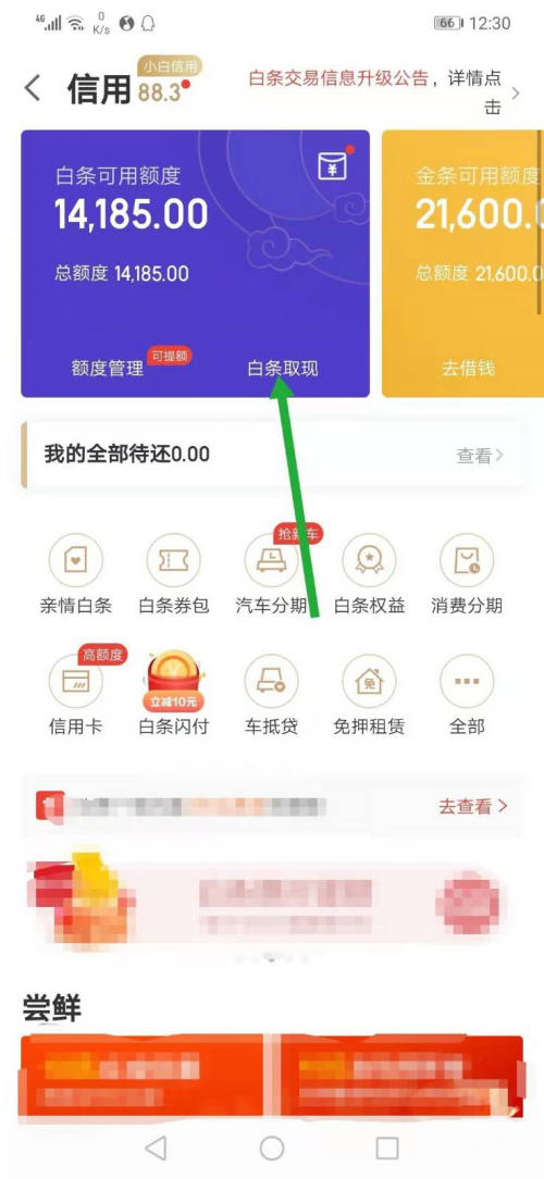 白条怎么套出来现金(2)