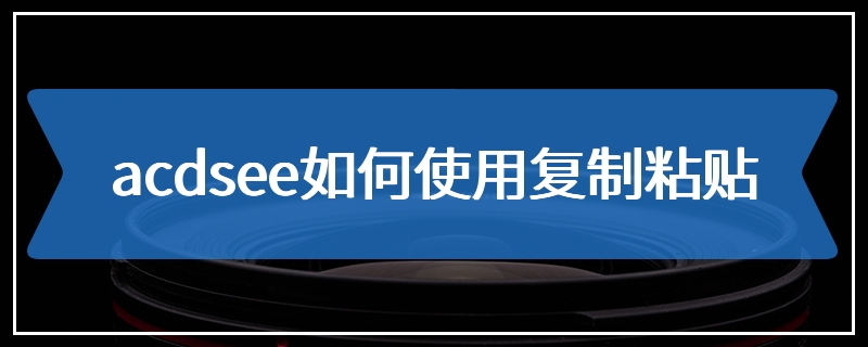 acdsee如何使用复制粘贴