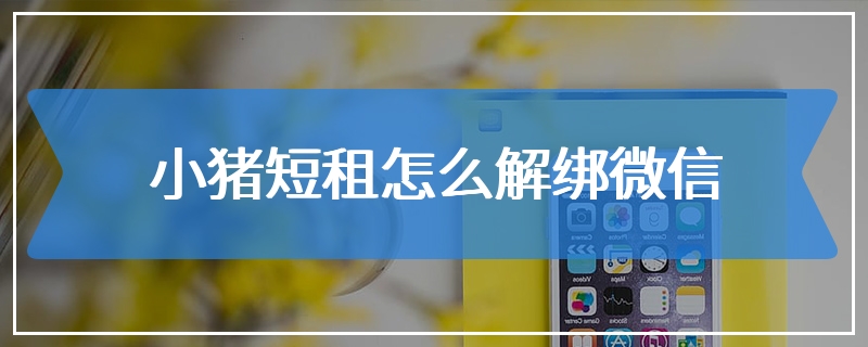 小猪短租怎么解绑微信