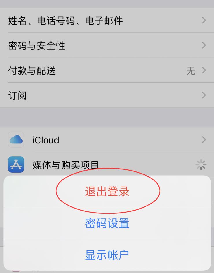 苹果app怎么退出账号(2)
