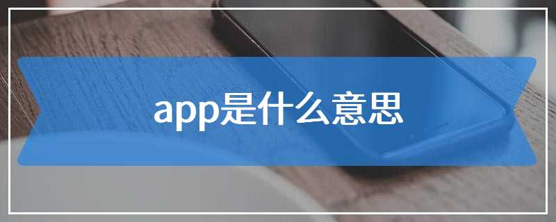 app是什么意思