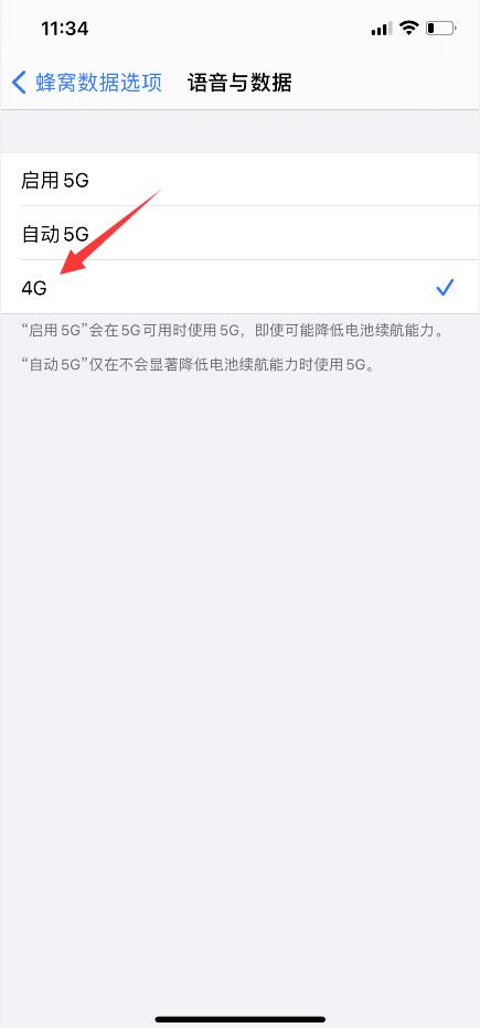 iphone12如何关闭5g(4)