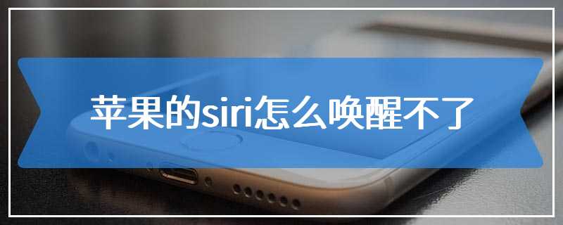 苹果的siri怎么唤醒不了